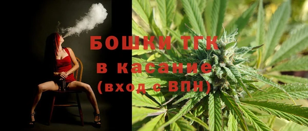 тгк Аркадак