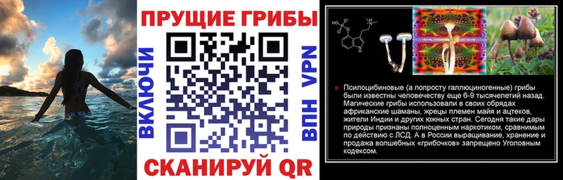 Галлюциногенные грибы MAGIC MUSHROOMS  Удомля 