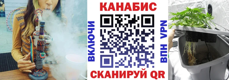 где купить   Удомля  Канабис конопля 